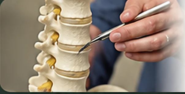 Examining a spine model to explain the source of a patient's pain